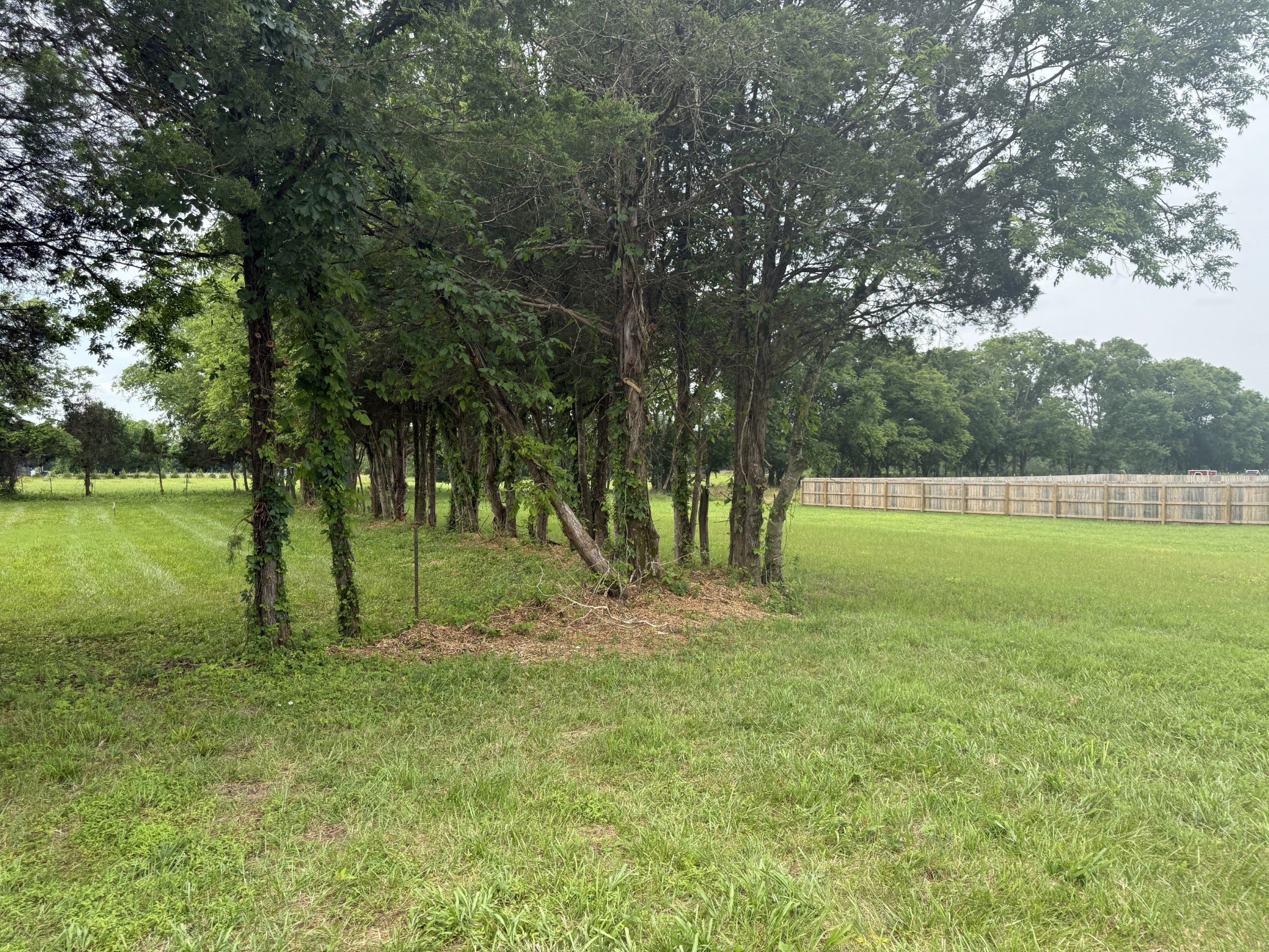 2120 Hamilton Chambers Rd, Lebanon, TN  37087