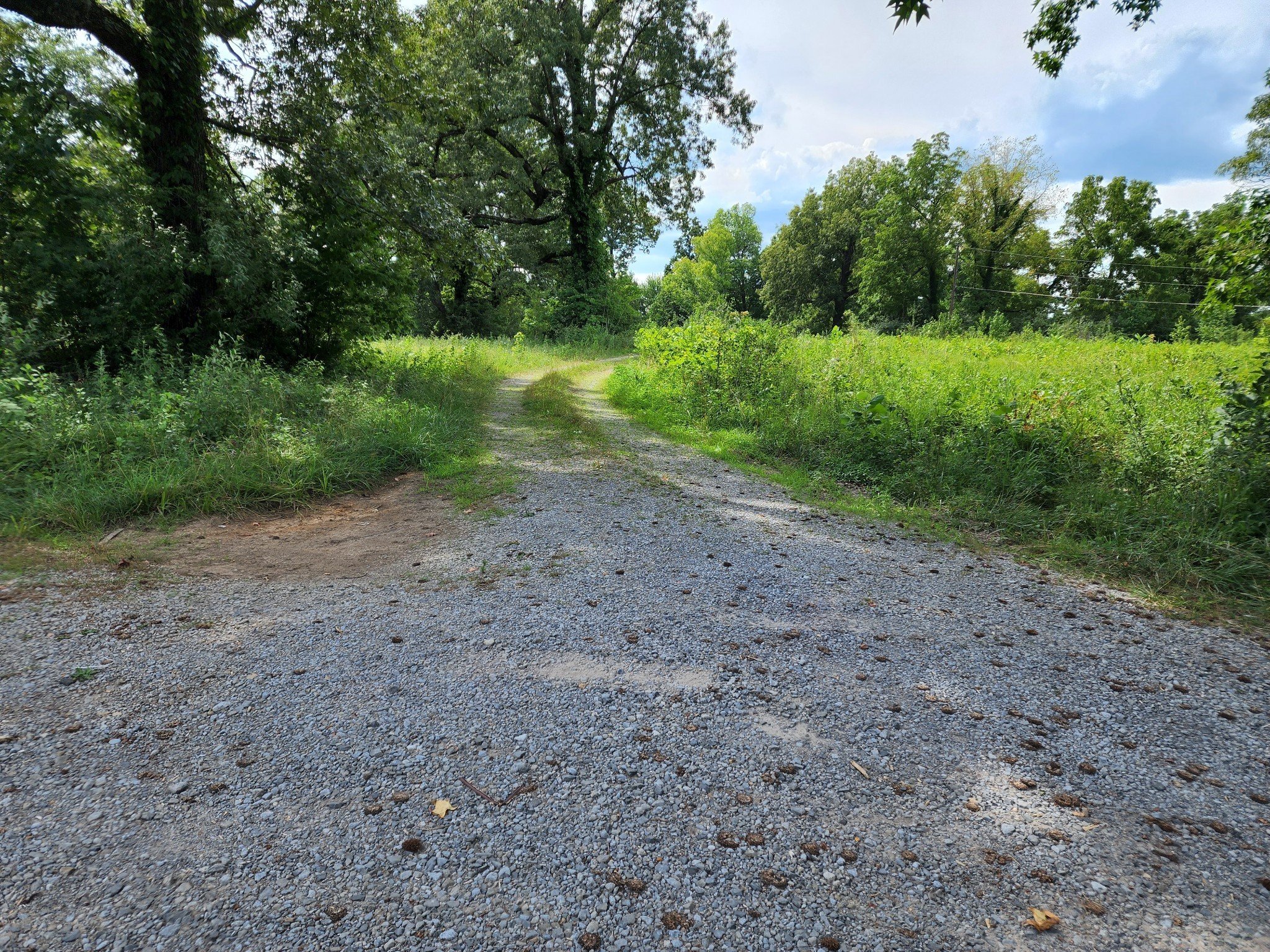 Old Highway 46 S, Dickson, TN  37055