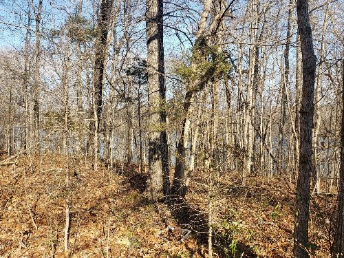 Refuge South Rd, Dover, TN  37058