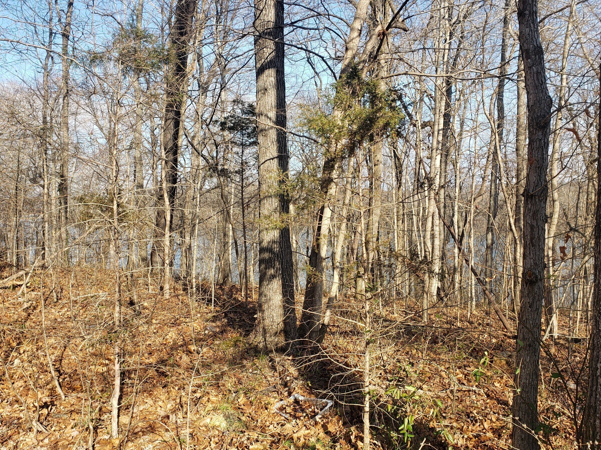 Refuge South Rd, Dover, TN  37058