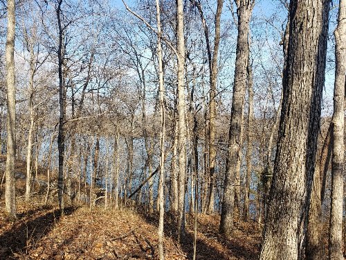 Refuge South Rd, Dover, TN  37058