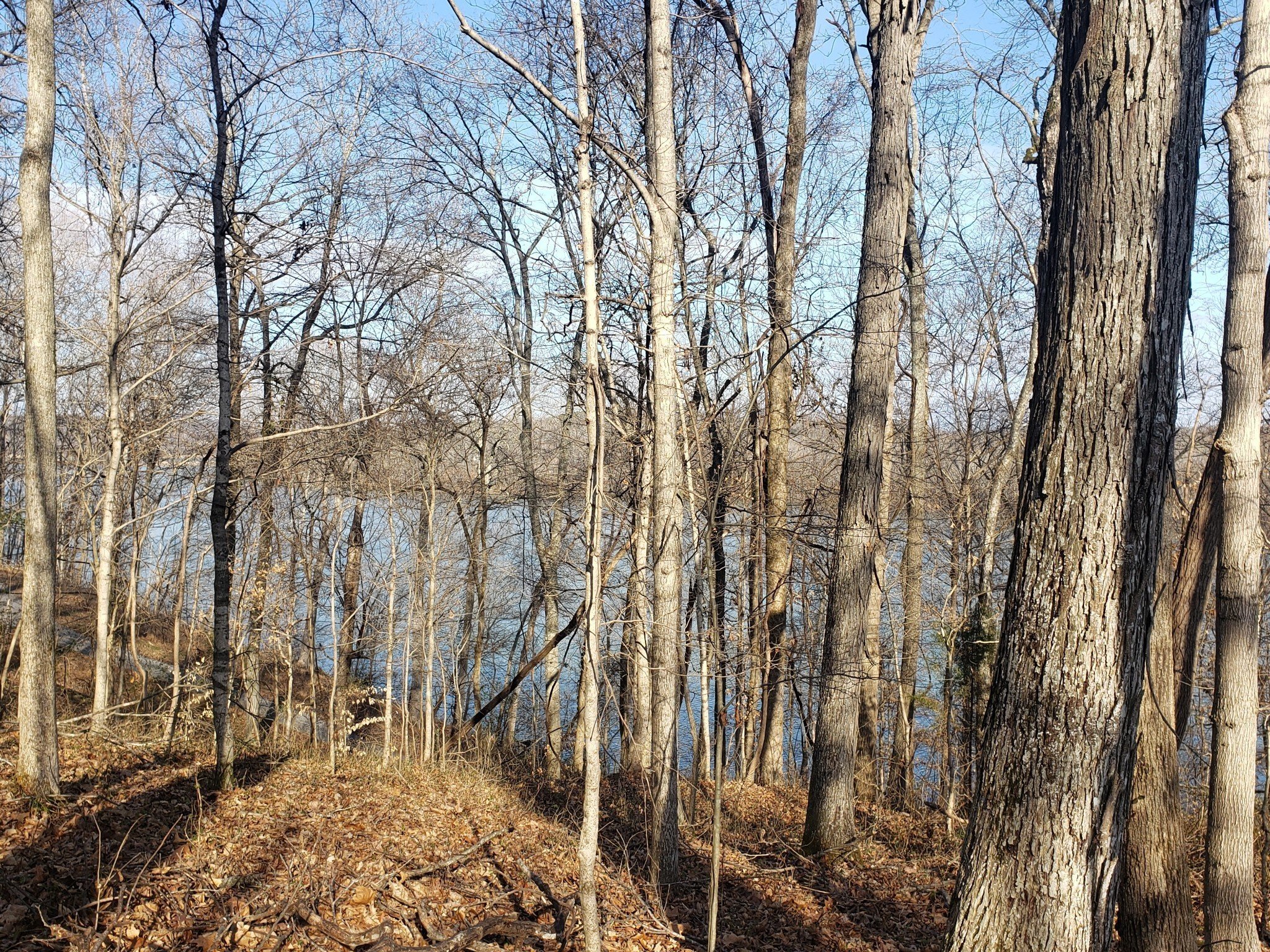 Refuge South Rd, Dover, TN  37058