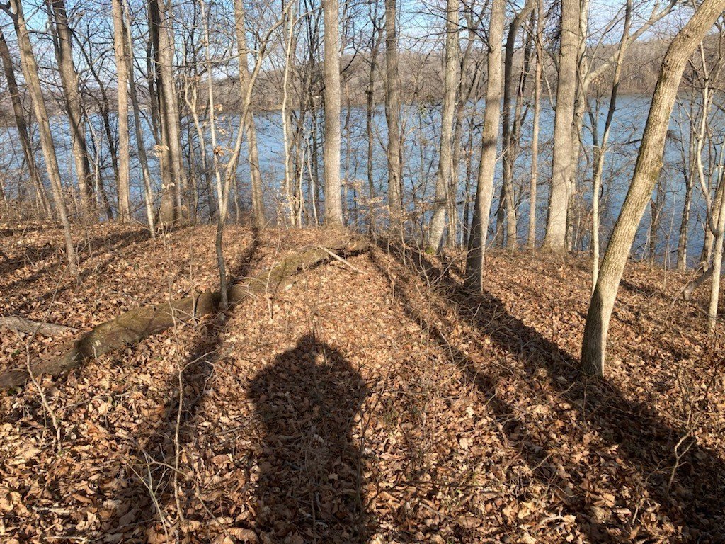 Refuge South Rd, Dover, TN  37058