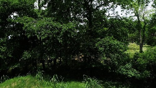 10615 Lebanon Rd, Mount Juliet, TN  37122