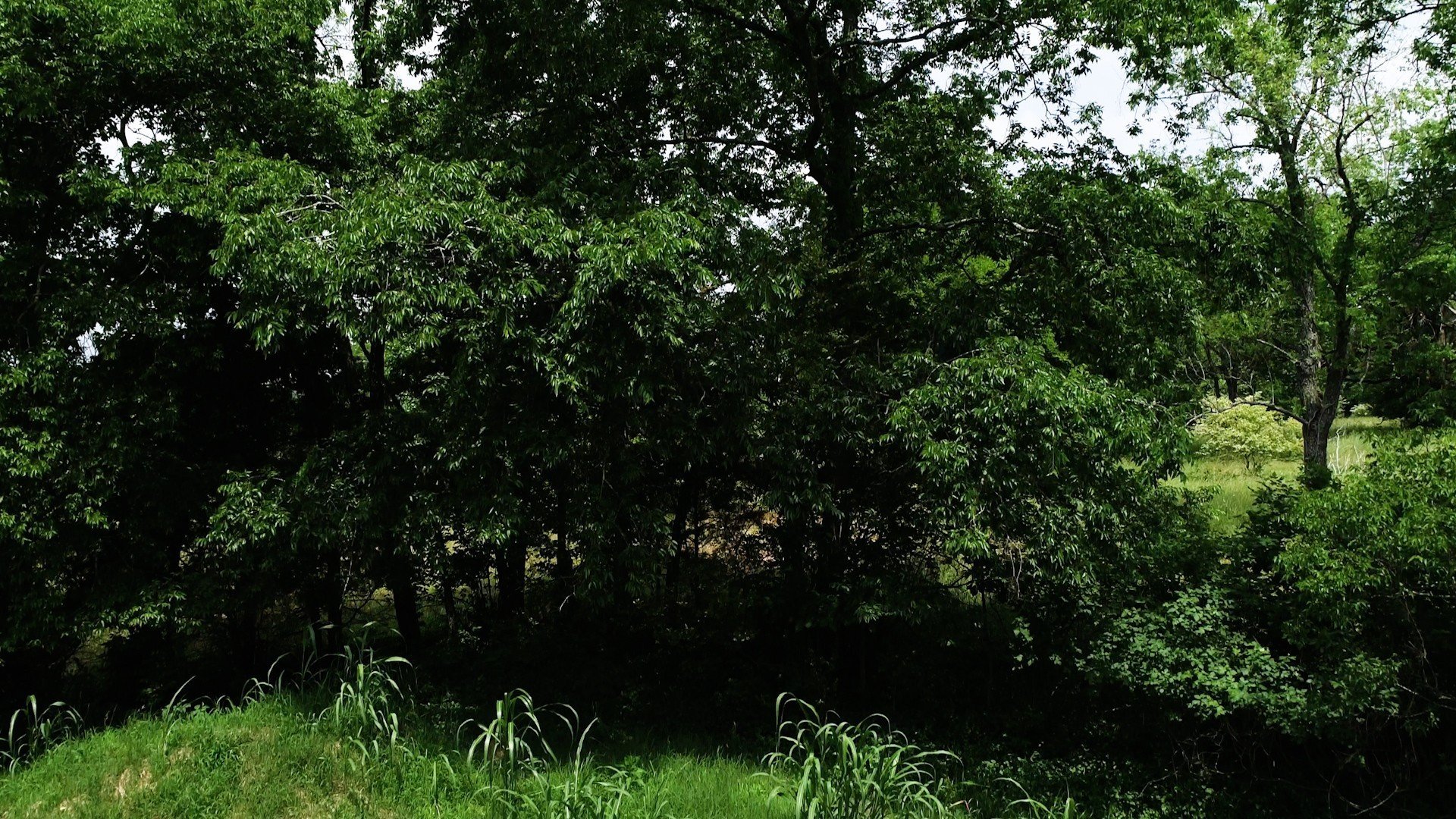 10615 Lebanon Rd, Mount Juliet, TN  37122