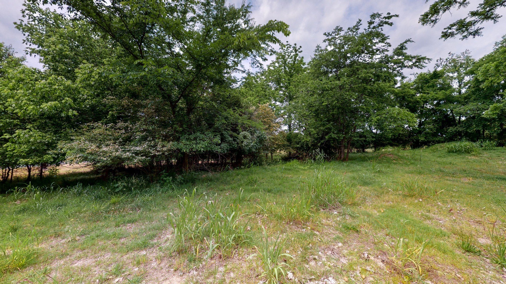 10615 Lebanon Rd, Mount Juliet, TN  37122