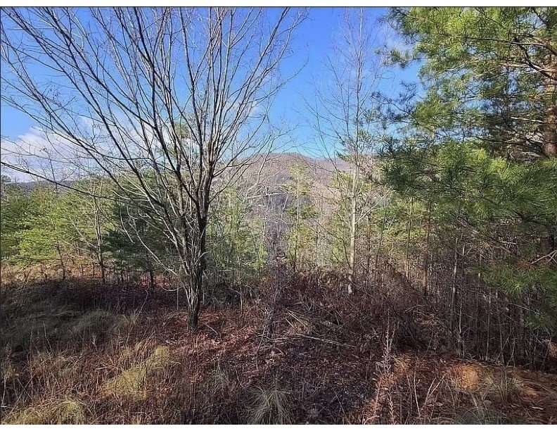 Mountaineer Tr, Sevierville, TN  37876