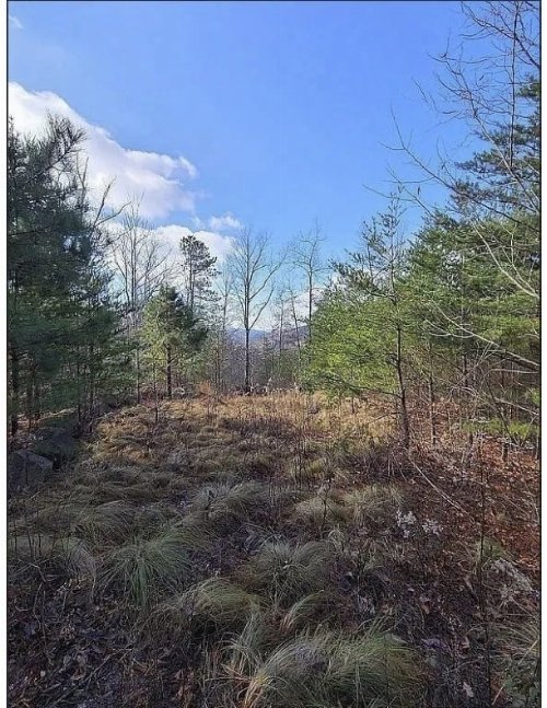 Mountaineer Tr, Sevierville, TN  37876