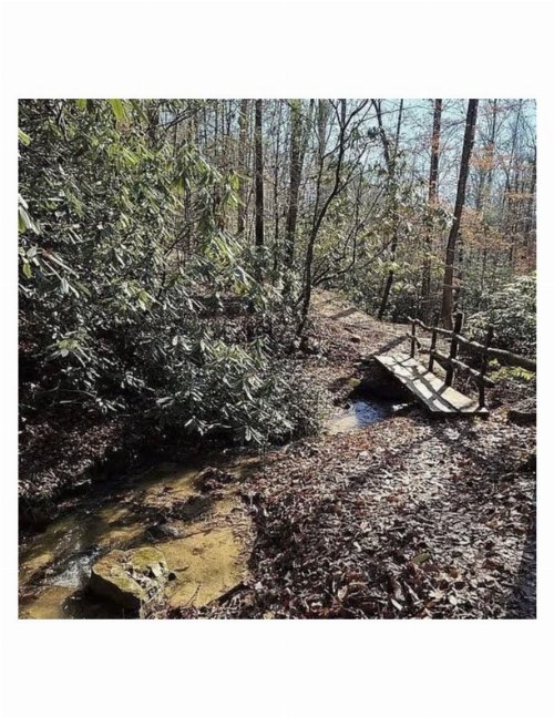 Mountaineer Tr, Sevierville, TN  37876