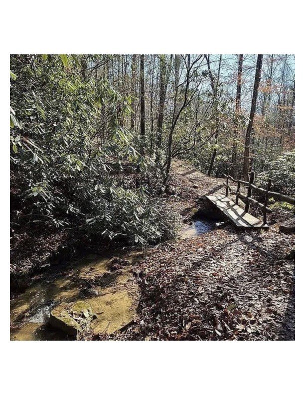 Mountaineer Tr, Sevierville, TN  37876