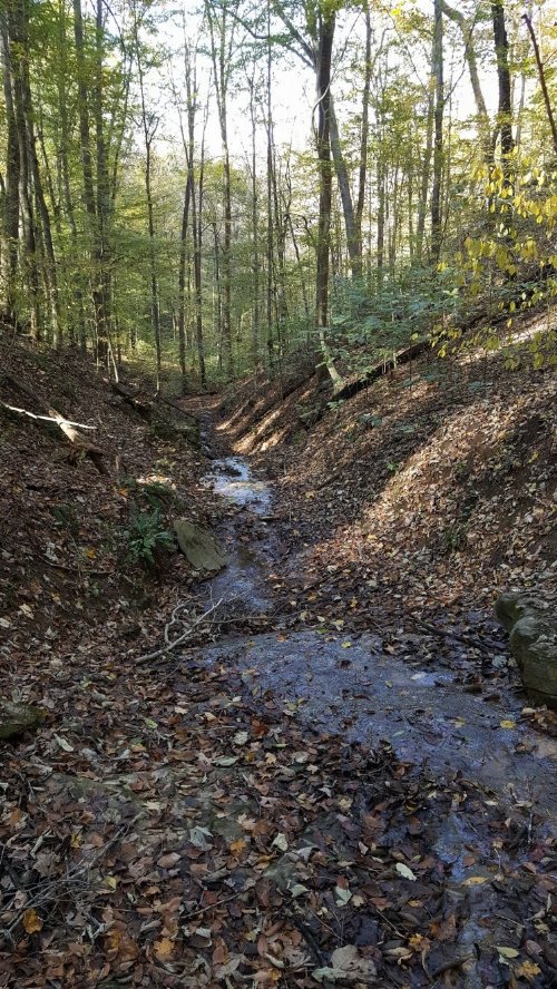 87C Mallard Rd, Hilham, TN  38568