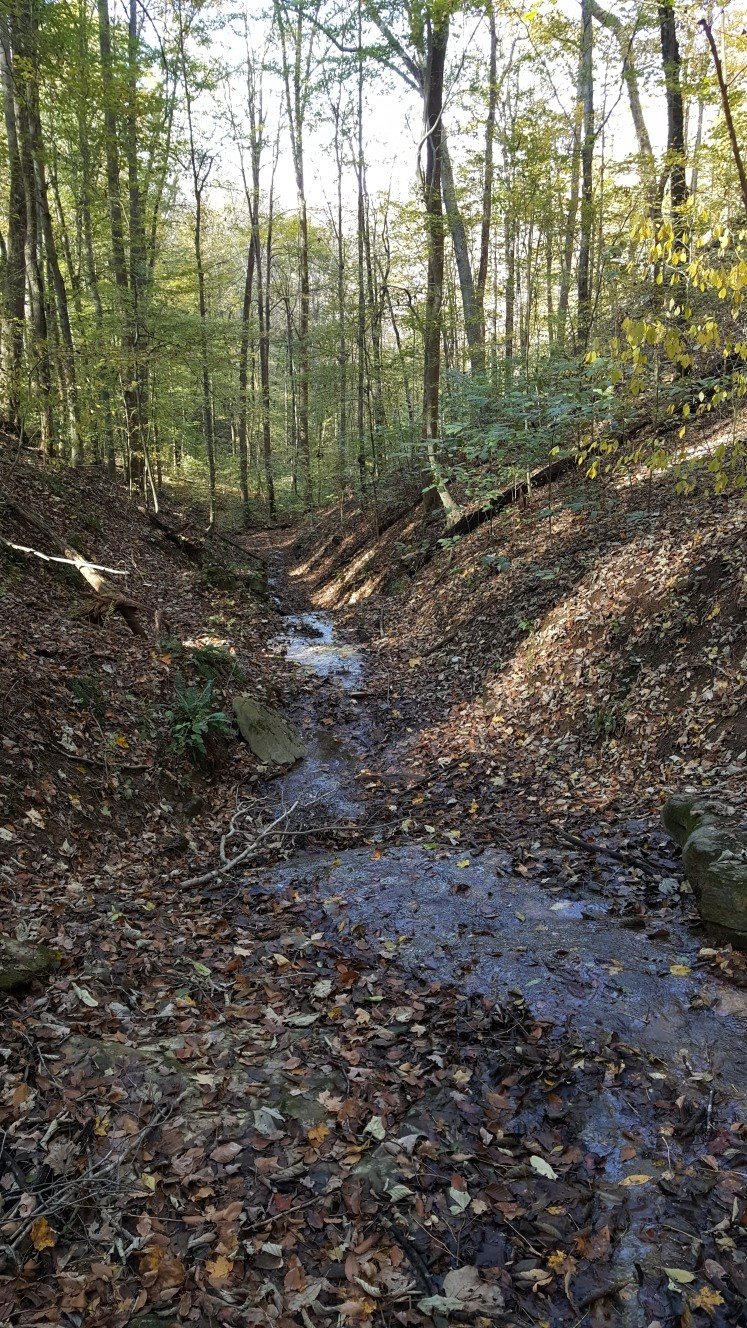 87C Mallard Rd, Hilham, TN  38568