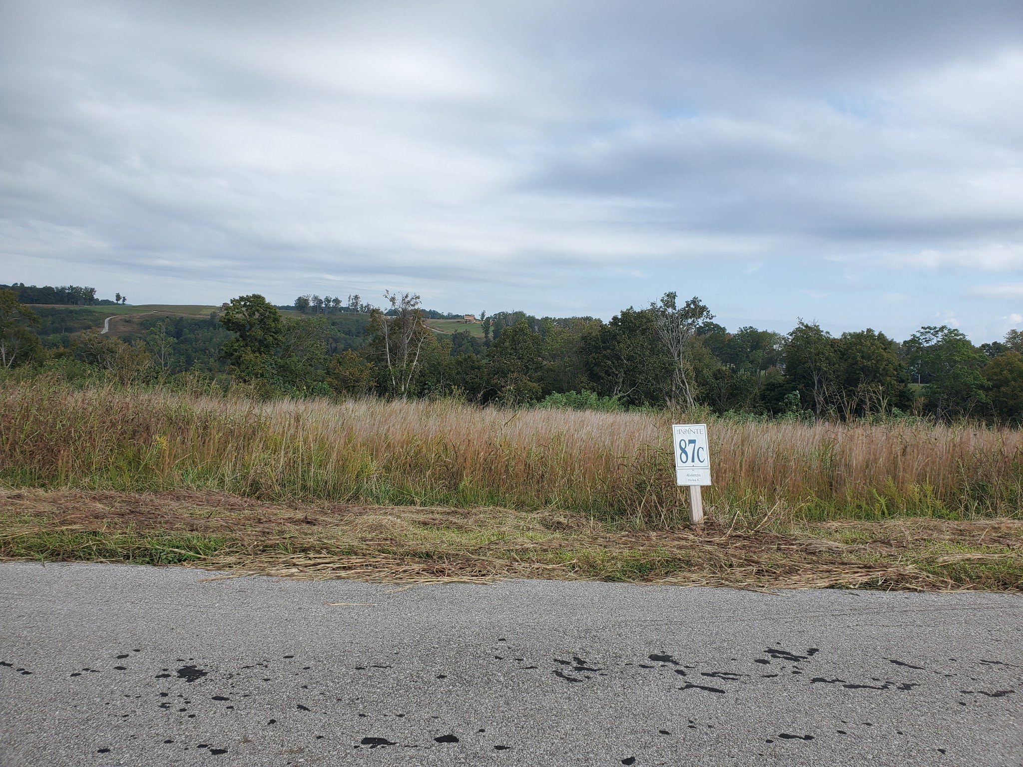 87C Mallard Rd, Hilham, TN  38568