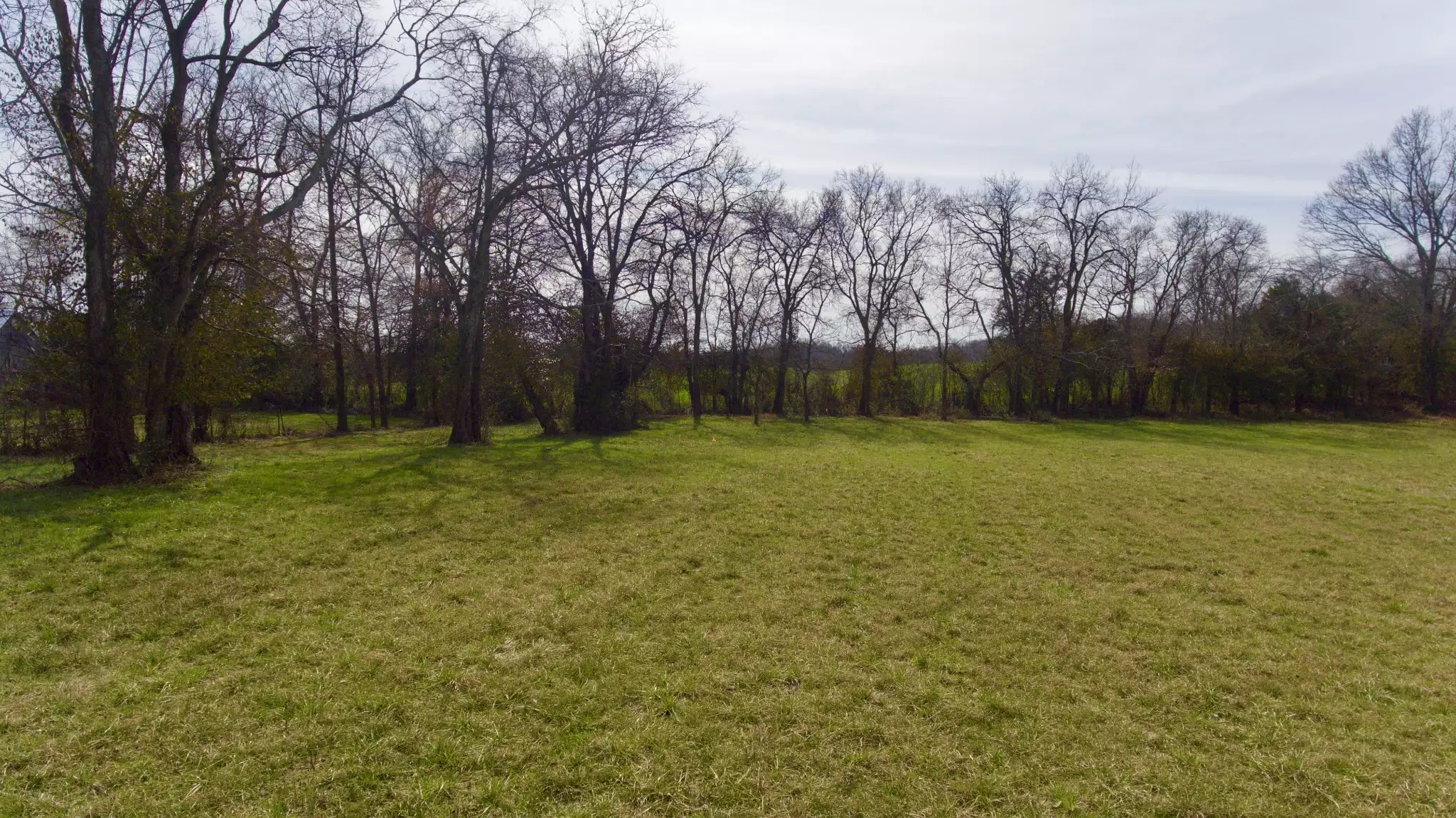 Webb Rd, Bell Buckle, TN  37020