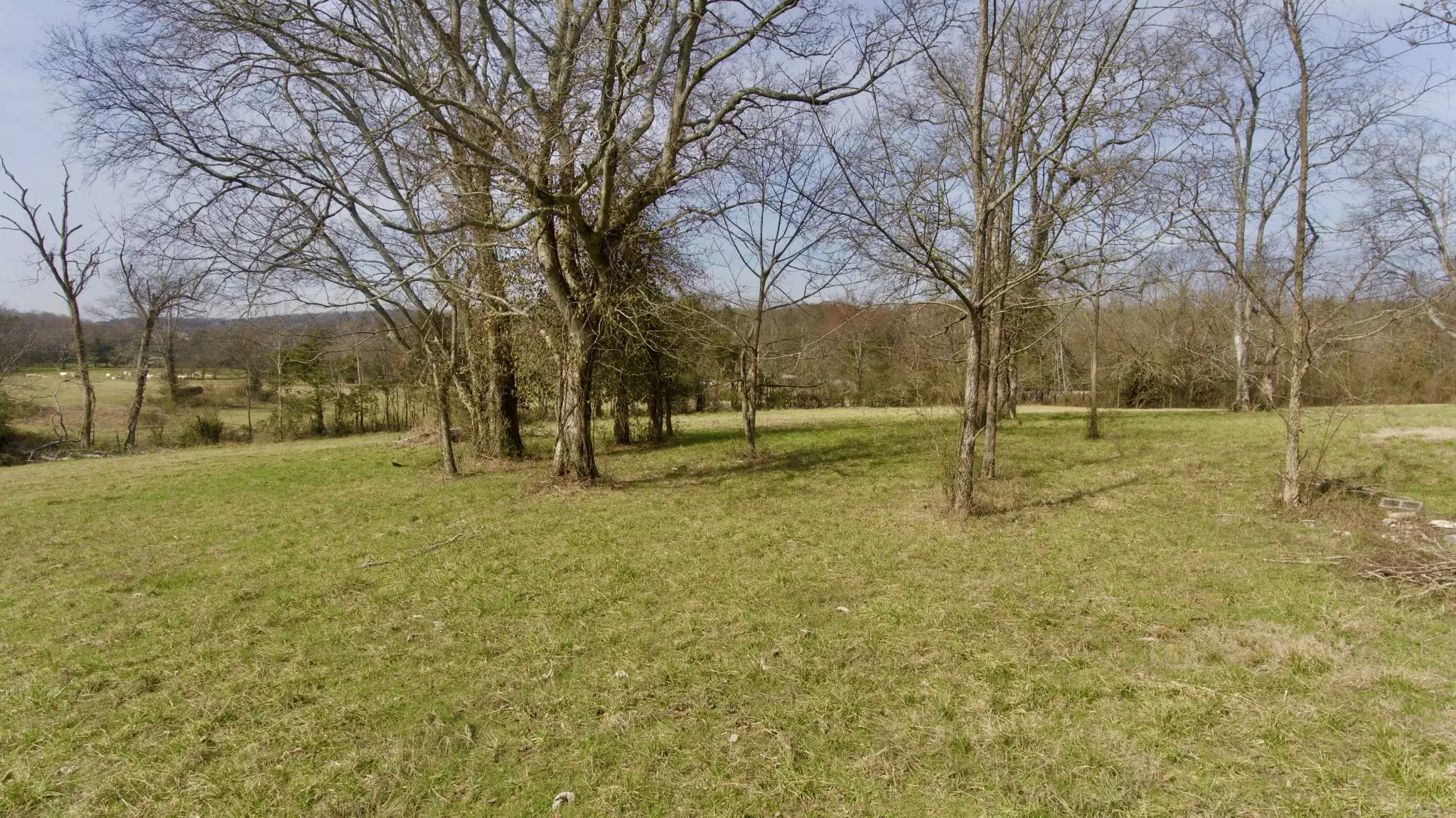 Webb Rd, Bell Buckle, TN  37020