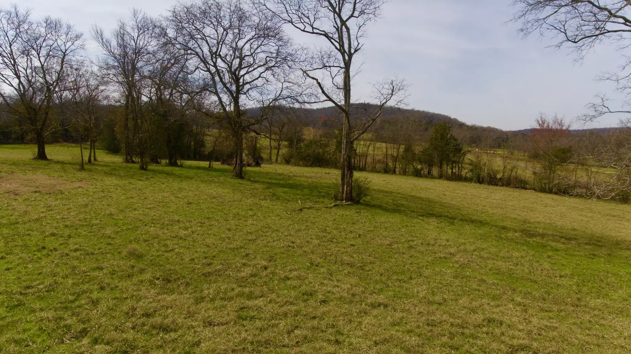 Webb Rd, Bell Buckle, TN  37020