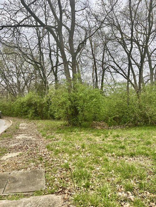 1717 Delta Ave, Nashville, TN  37208