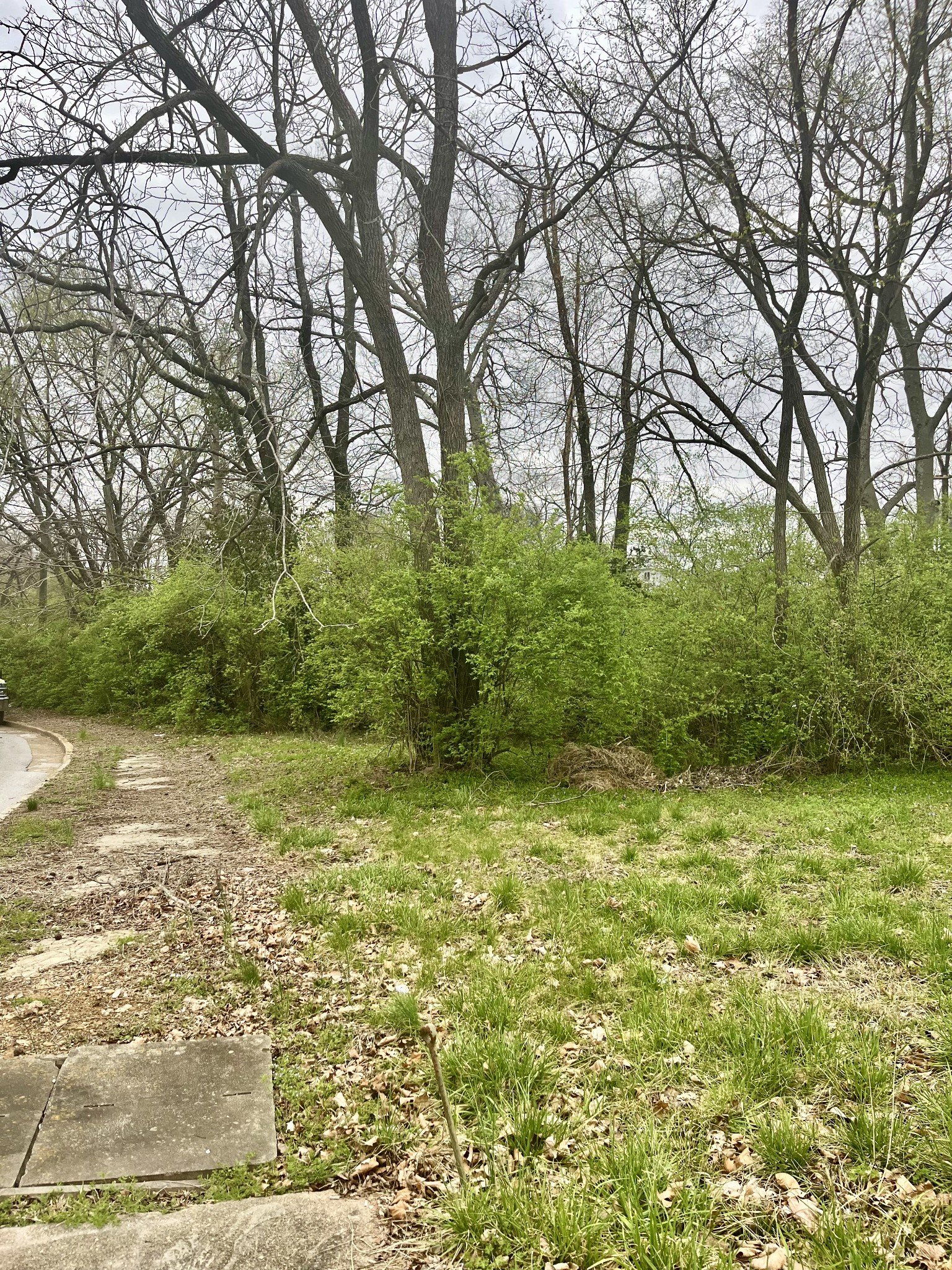 1717 Delta Ave, Nashville, TN  37208