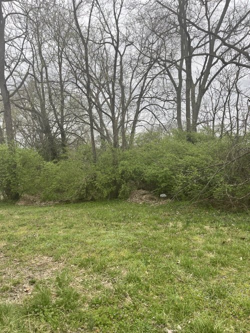 1717 Delta Ave, Nashville, TN  37208