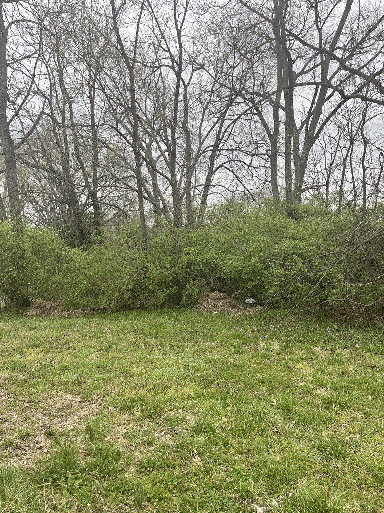 1717 Delta Ave, Nashville, TN  37208