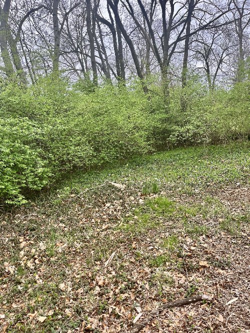 1717 Delta Ave, Nashville, TN  37208