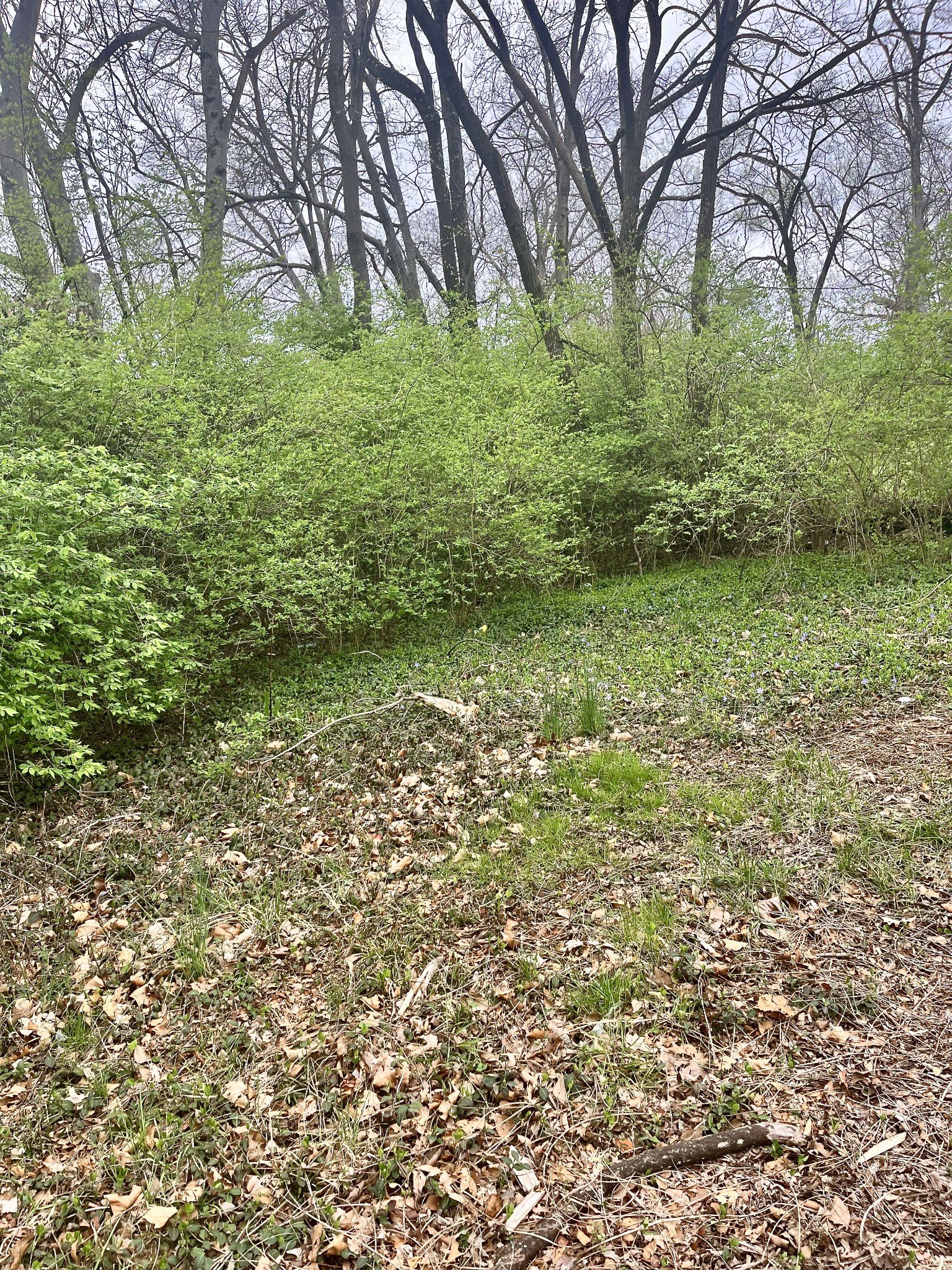 1717 Delta Ave, Nashville, TN  37208