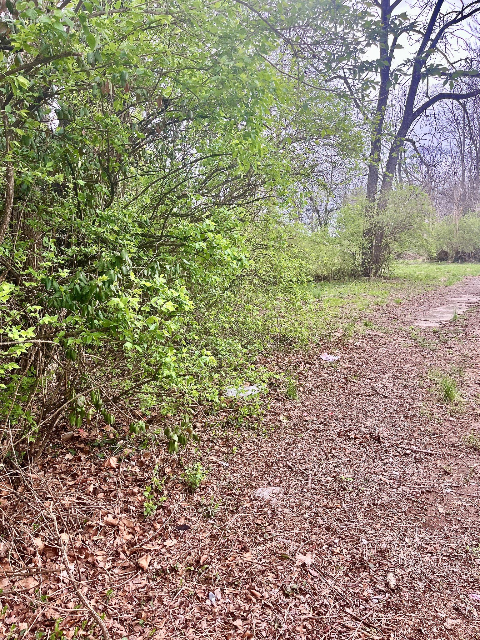 1717 Delta Ave, Nashville, TN  37208