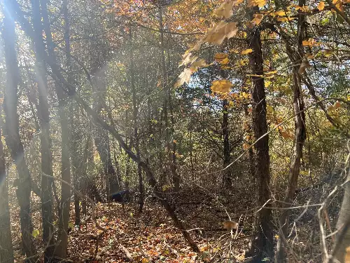 5 Clyde Webb, Tennessee Ridge, TN  37178