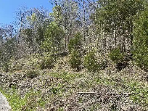 1155 Hurricane Creek Rd, Lynchburg, TN  37352