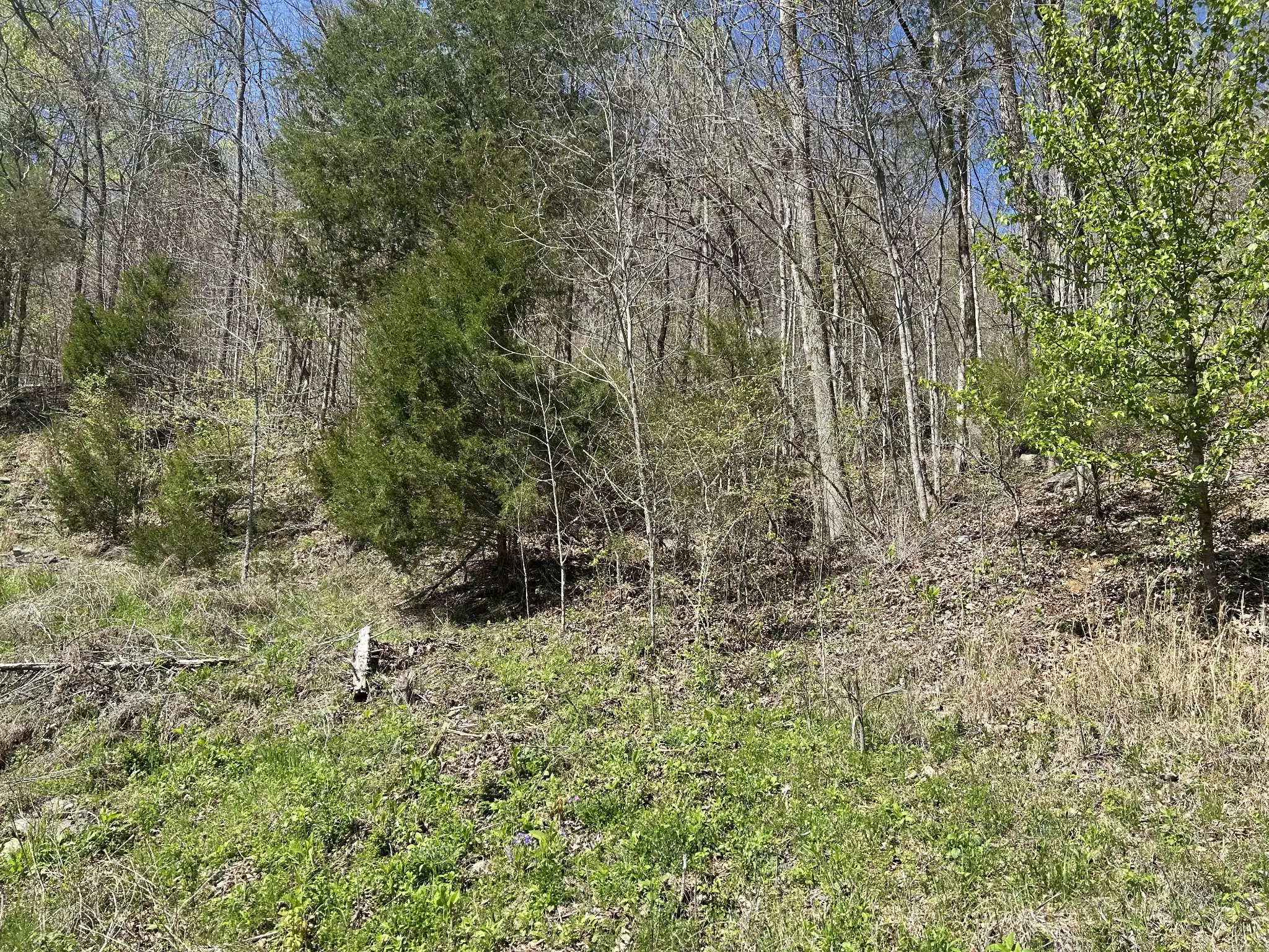 1155 Hurricane Creek Rd, Lynchburg, TN  37352