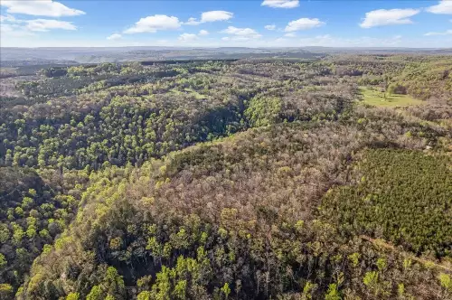 1 Seagroves Rd, Tracy City, TN  37387