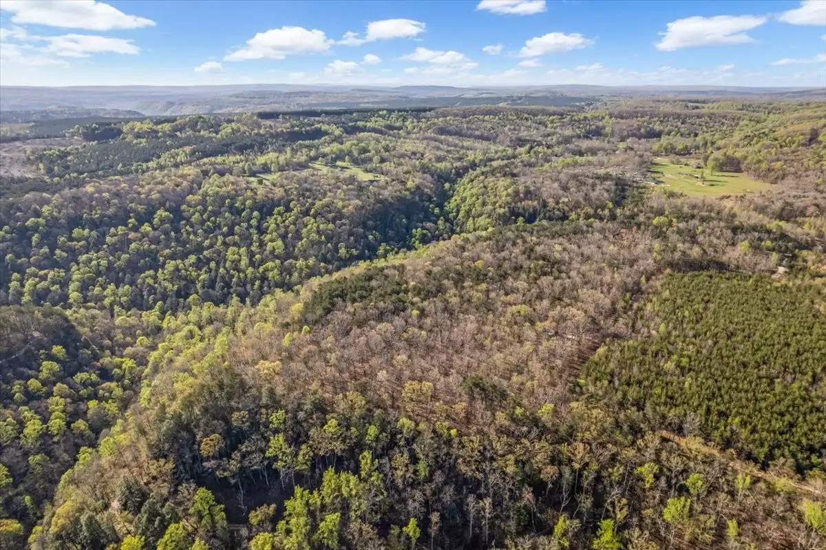 1 Seagroves Rd, Tracy City, TN  37387