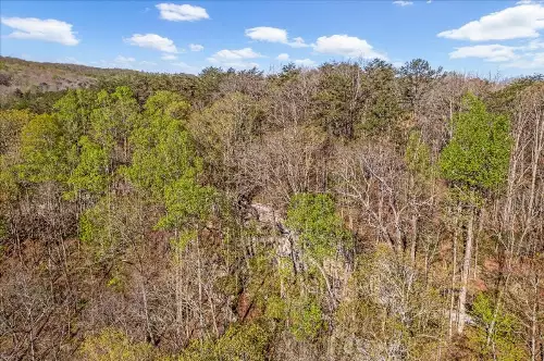 1 Seagroves Rd, Tracy City, TN  37387