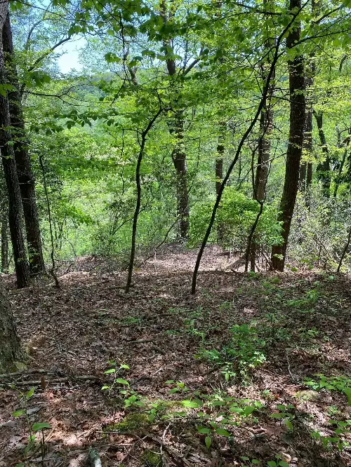 1 Seagroves Rd, Tracy City, TN  37387