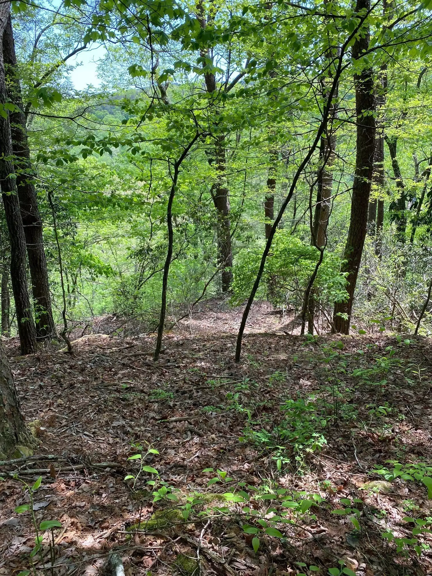 1 Seagroves Rd, Tracy City, TN  37387