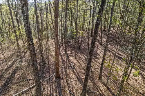 1 Seagroves Rd, Tracy City, TN  37387