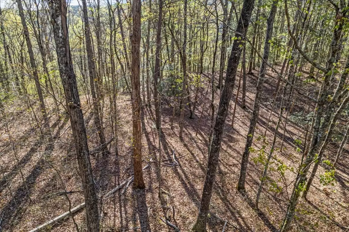 1 Seagroves Rd, Tracy City, TN  37387