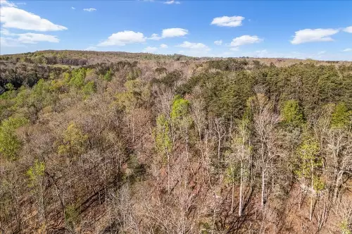 1 Seagroves Rd, Tracy City, TN  37387