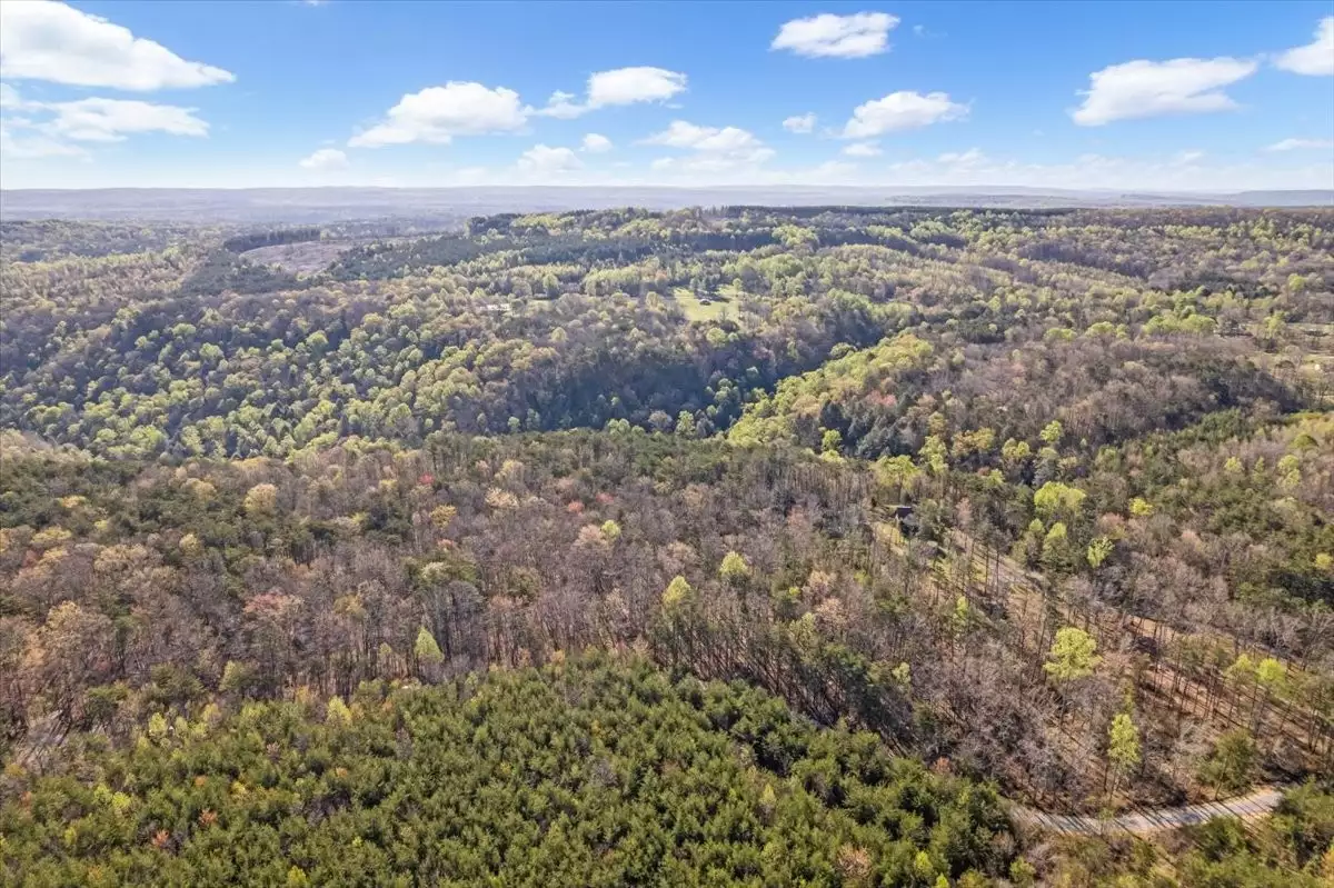 1 Seagroves Rd, Tracy City, TN  37387