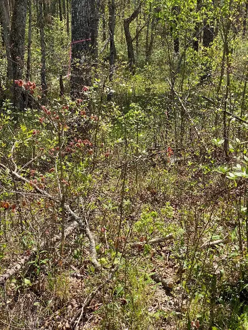 1 Seagroves Rd, Tracy City, TN  37387