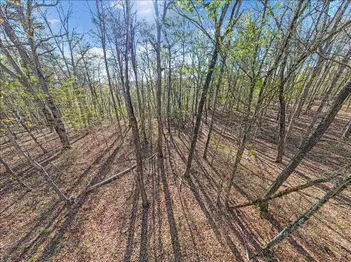 1 Seagroves Rd, Tracy City, TN  37387