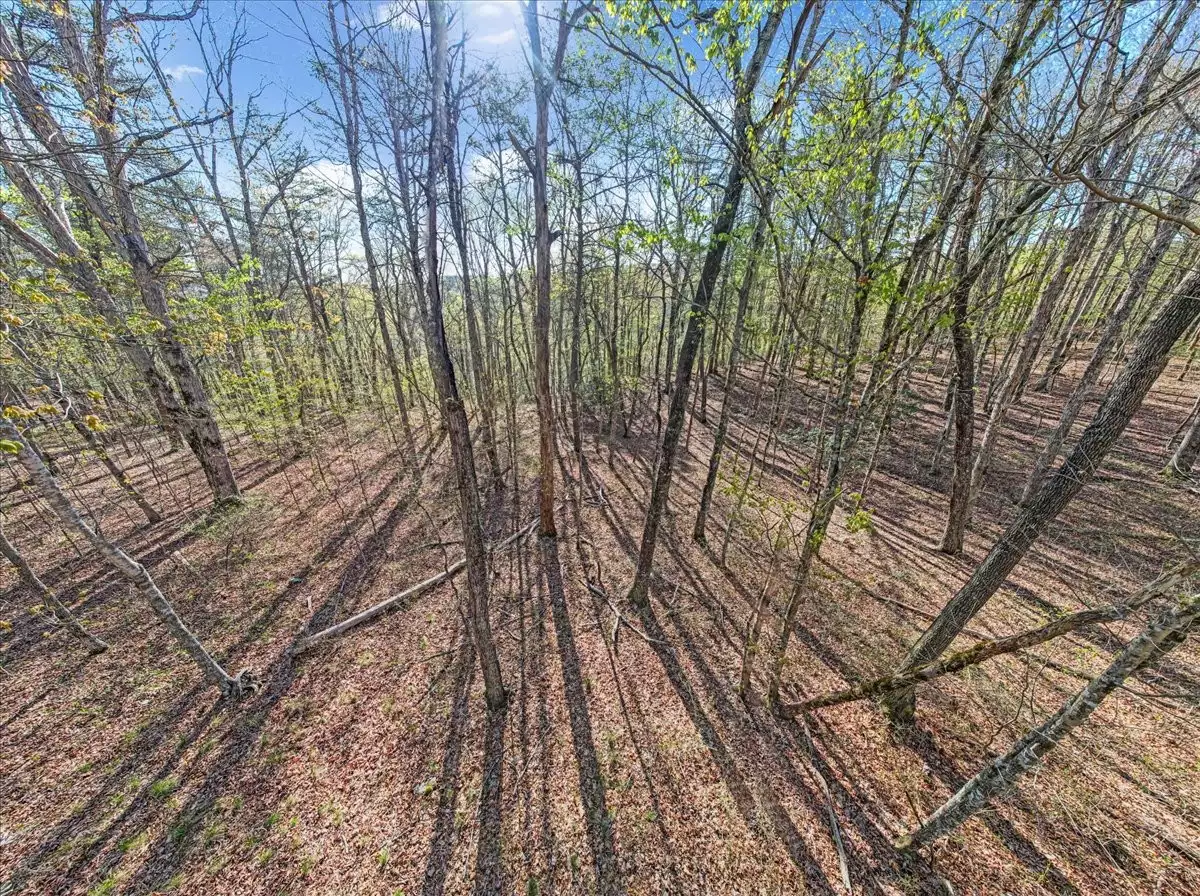 1 Seagroves Rd, Tracy City, TN  37387