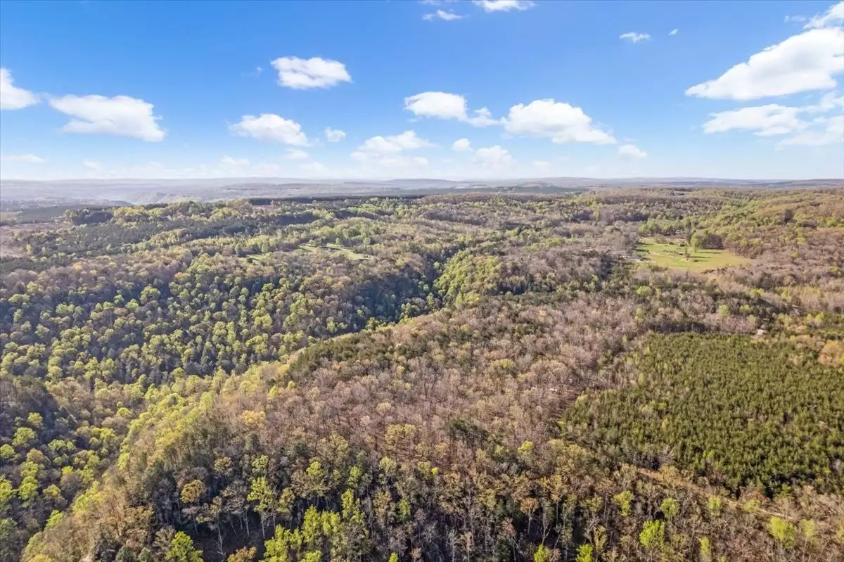 1 Seagroves Rd, Tracy City, TN  37387