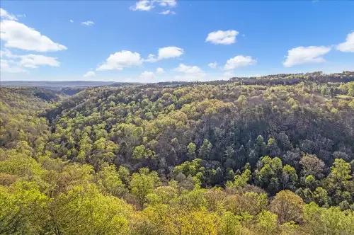 1 Seagroves Rd, Tracy City, TN  37387