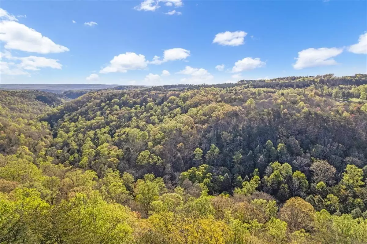 1 Seagroves Rd, Tracy City, TN  37387