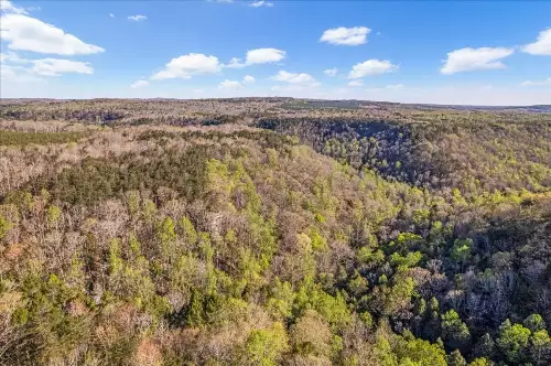 1 Seagroves Rd, Tracy City, TN  37387