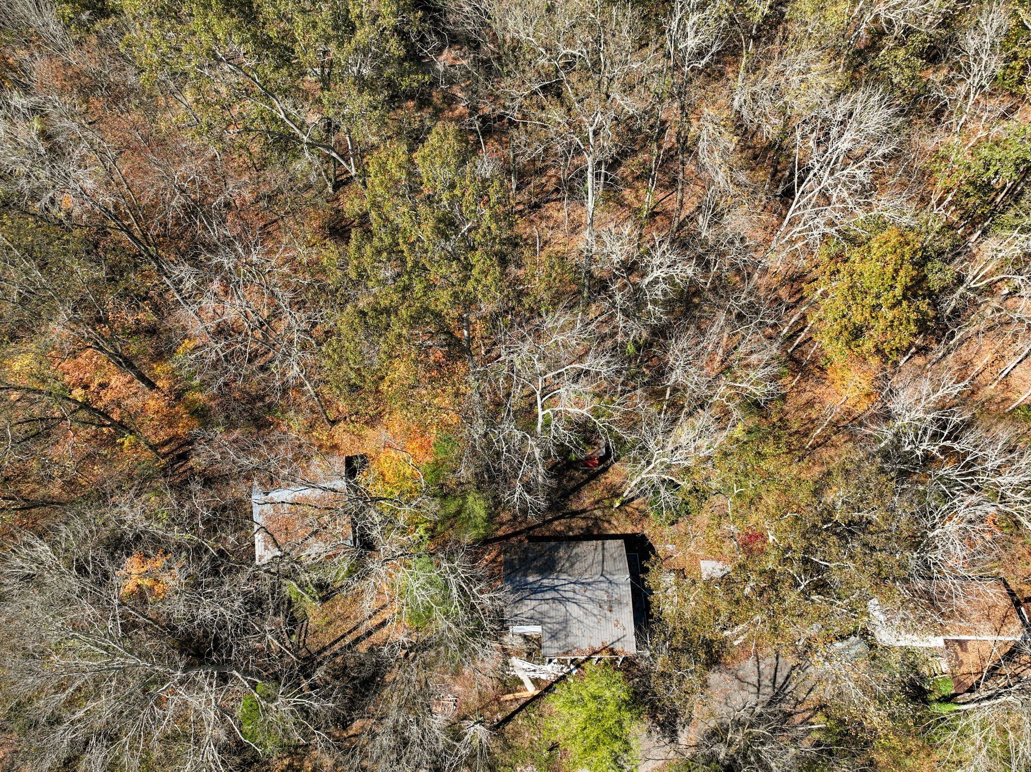 292 Halls Hollow Rd, Smithville, TN  37166