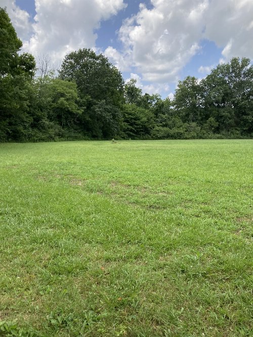 6897 Comstock Rd, College Grove, TN  37046