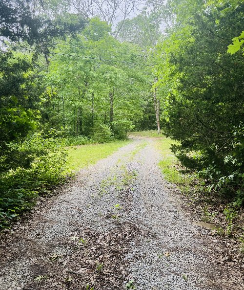 6897 Comstock Rd, College Grove, TN  37046