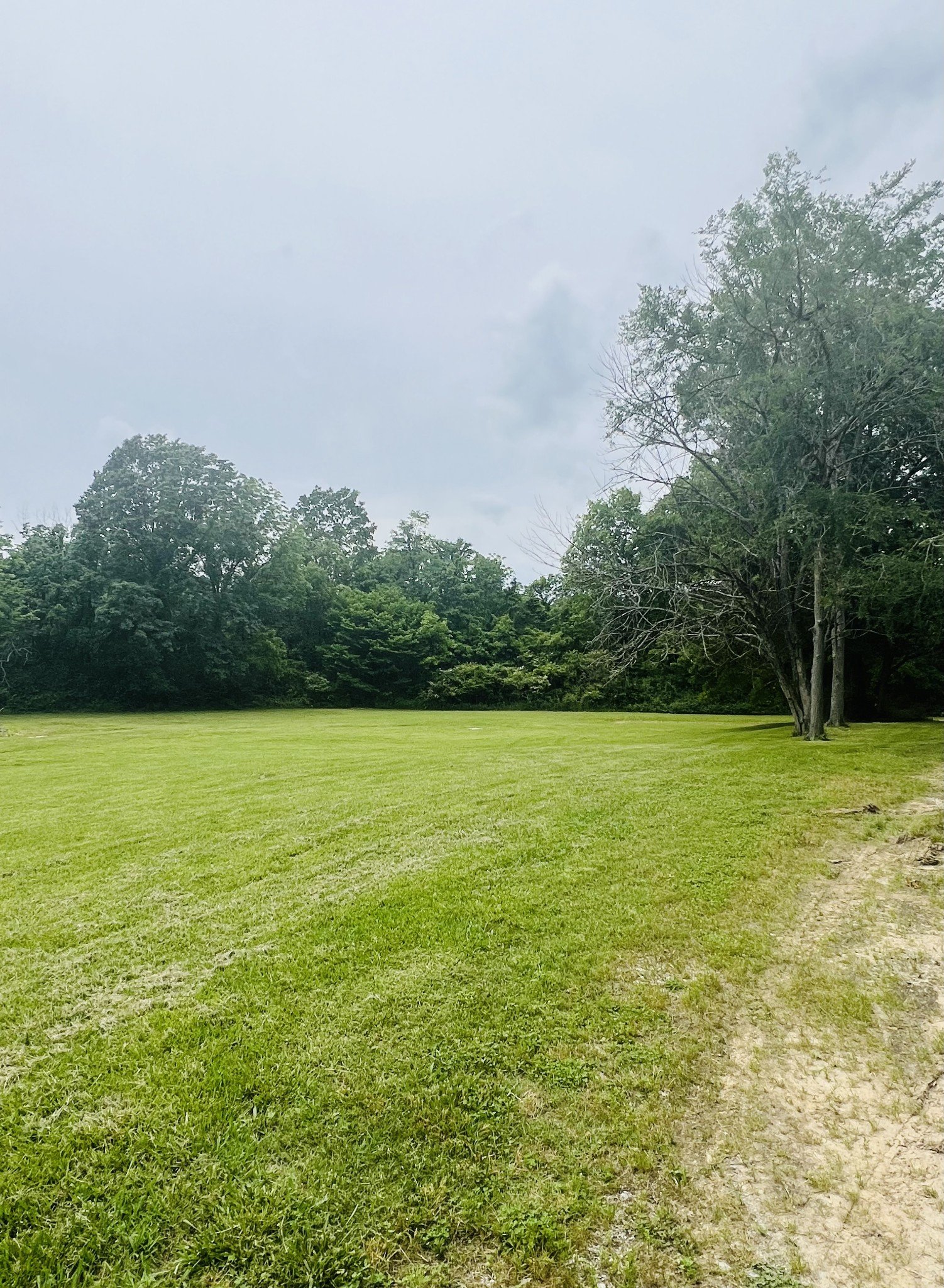 6897 Comstock Rd, College Grove, TN  37046